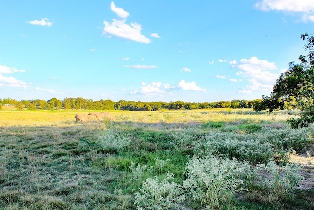 421 Fm 845, Cameron, TX 76520 - view of nature with rural landscape