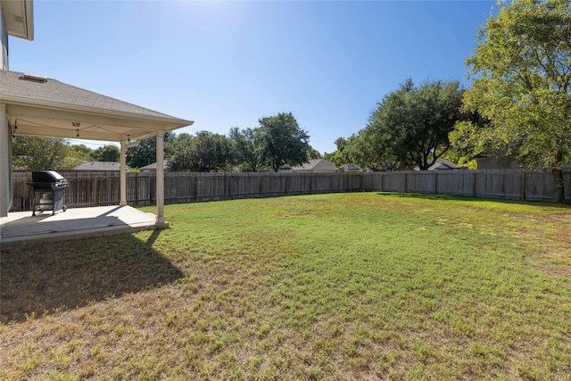 view of yard featuring a patio