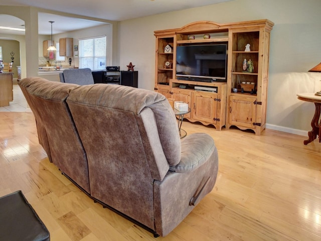 living room featuring light hardwood / wood-style flooring