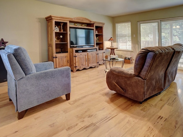 living room with light wood-type flooring