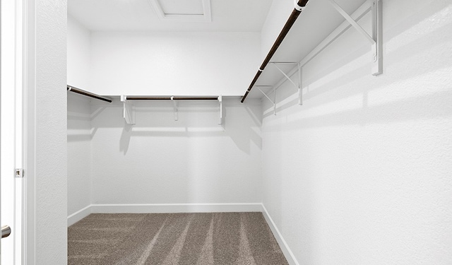 walk in closet with carpet