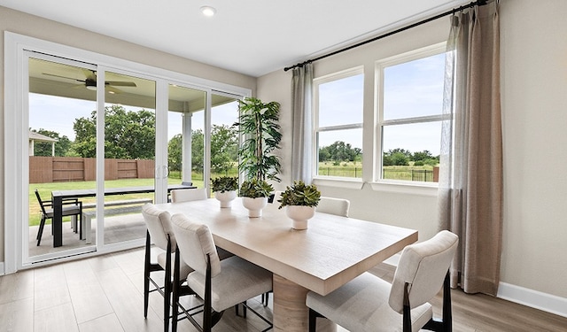 dining space with ceiling fan and light wood-type flooring