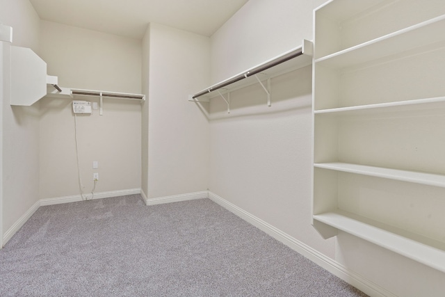 spacious closet featuring carpet floors