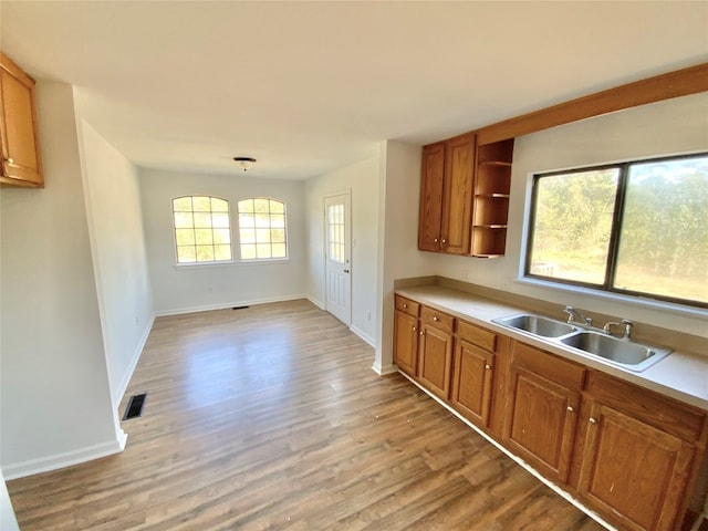 kitchen with sink and light hardwood / wood-style floors