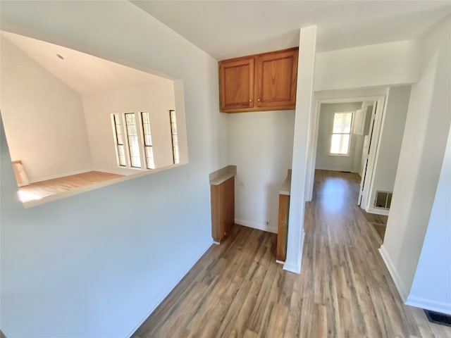 kitchen featuring light wood-type flooring