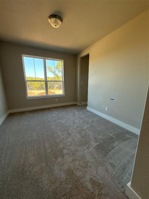 spare room featuring carpet flooring