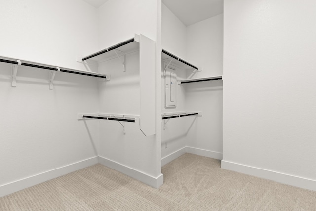 spacious closet with light colored carpet