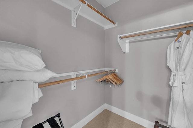 spacious closet featuring carpet flooring