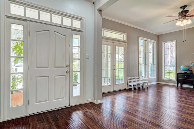 foyer entrance featuring crown molding, a healthy amount of sunlight, and dark wood-type flooring