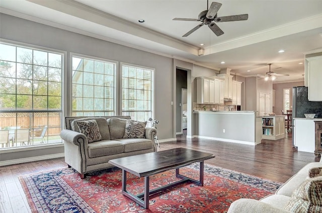 living room featuring crown molding, ceiling fan, wood-type flooring, and a raised ceiling