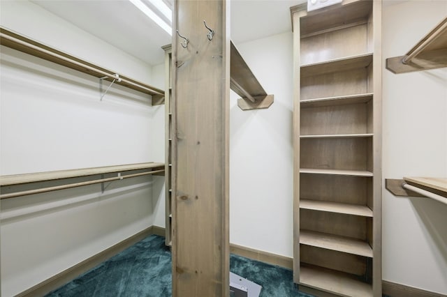 spacious closet featuring dark colored carpet