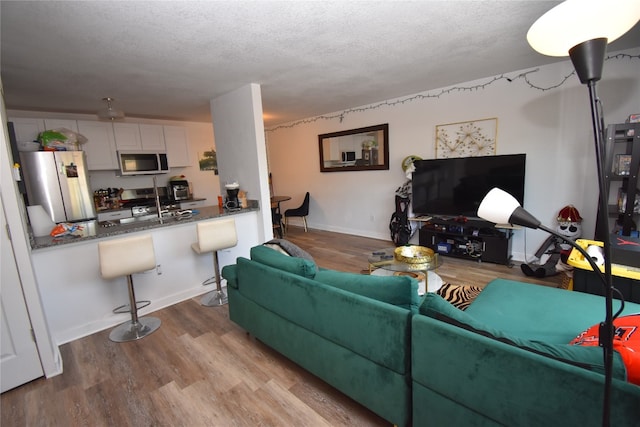 living room with a textured ceiling and hardwood / wood-style floors