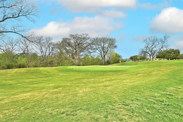 view of community featuring a lawn