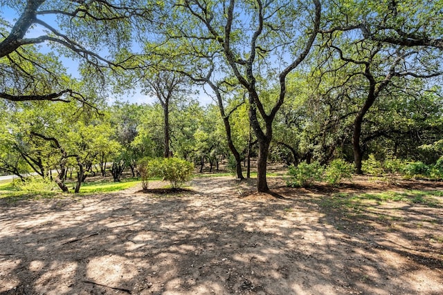 view of local wilderness