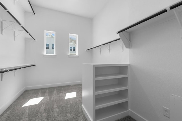 6508 Cowman Way, Austin, TX 78747 - walk in closet with carpet