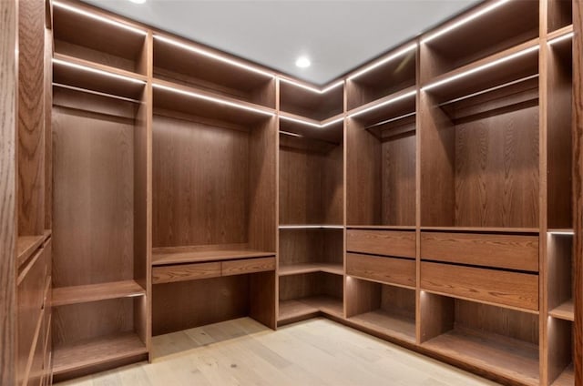 spacious closet featuring light hardwood / wood-style floors