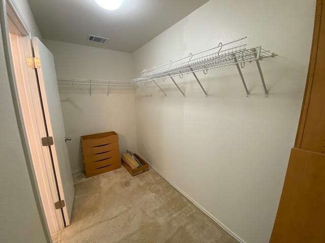 spacious closet with light carpet