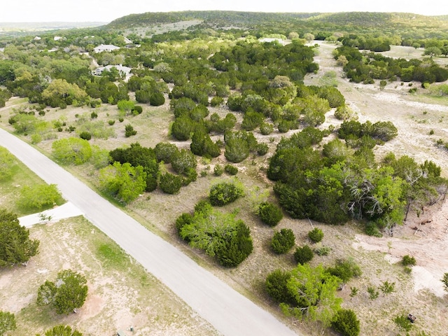 LOT607 Murphy Dr, Bertram TX, 78605 land for sale