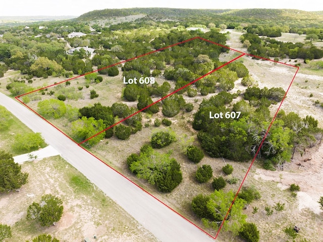 Listing photo 3 for LOT607 Murphy Dr, Bertram TX 78605