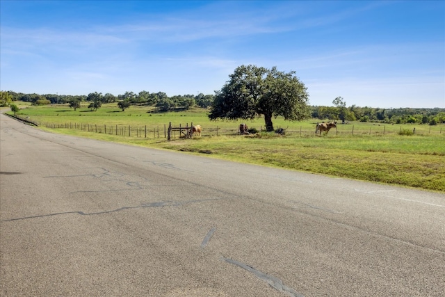 view of road with a rural view