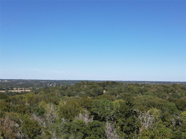 N/A Fm-155, La Grange, TX 78945 - photo 29