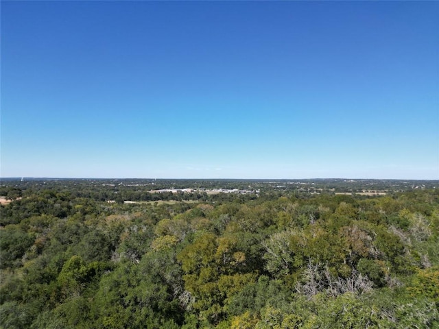 N/A Fm-155, La Grange, TX 78945 - photo 30