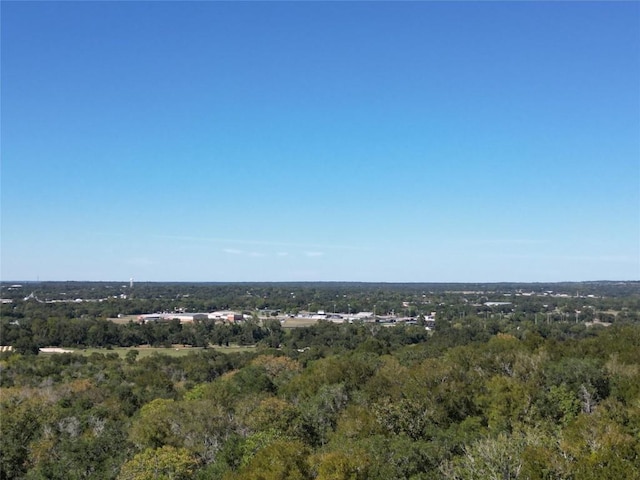 N/A Fm-155, La Grange, TX 78945 - photo 31