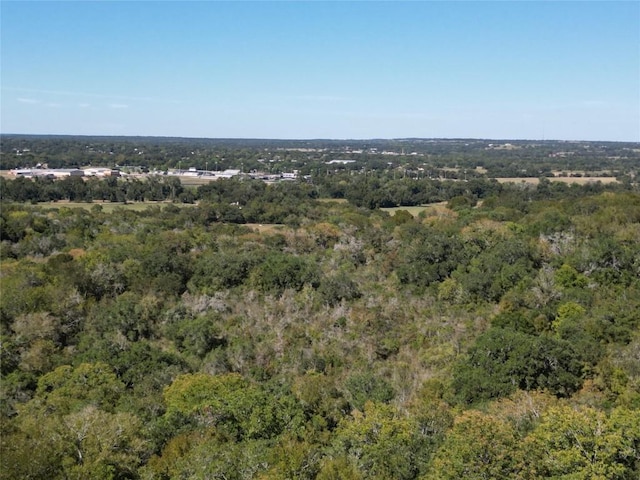 N/A Fm-155, La Grange, TX 78945 - photo 24