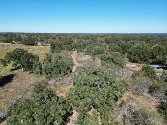 N/A Fm-155, La Grange, TX 78945 - photo 22