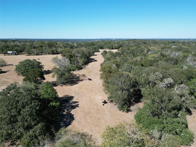 N/A Fm-155, La Grange, TX 78945 - photo 17