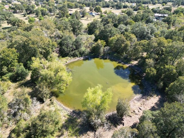 N/A Fm-155, La Grange, TX 78945 - photo 13