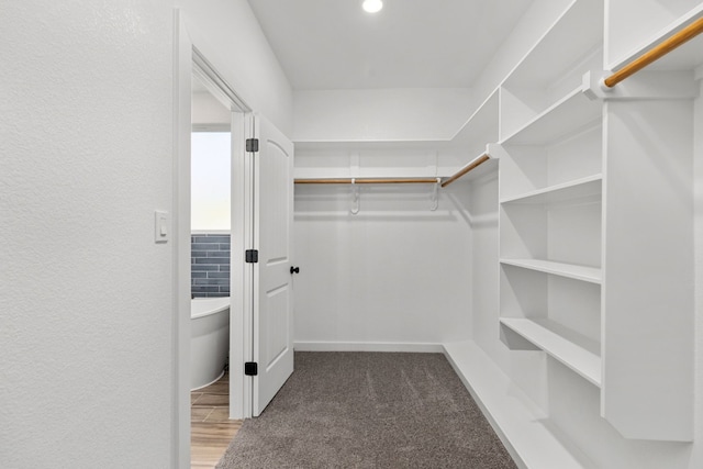 spacious closet with carpet