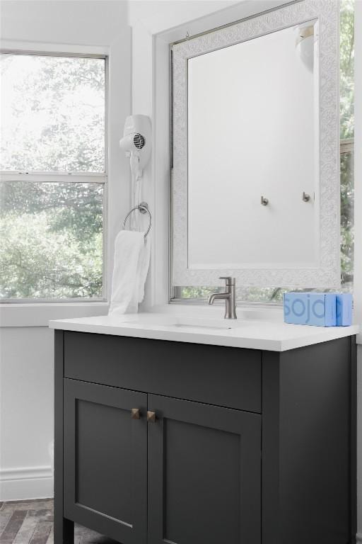 11505 SW Oaks, Austin, TX 78737 - bathroom with vanity and healthy amount of natural light