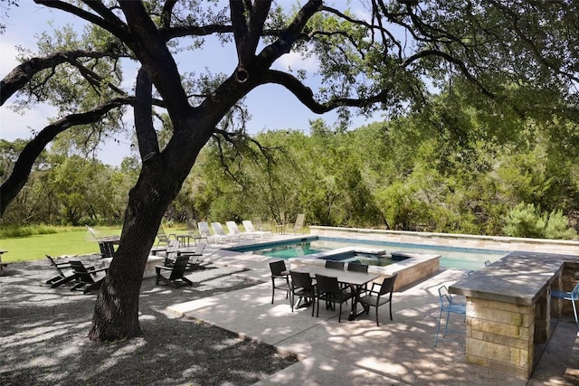 11505 SW Oaks, Austin, TX 78737 - swimming pool featuring a patio area