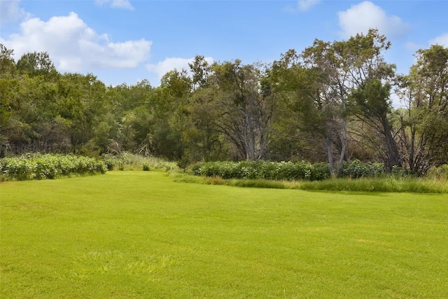 11505 SW Oaks, Austin, TX 78737 - view of green lawn