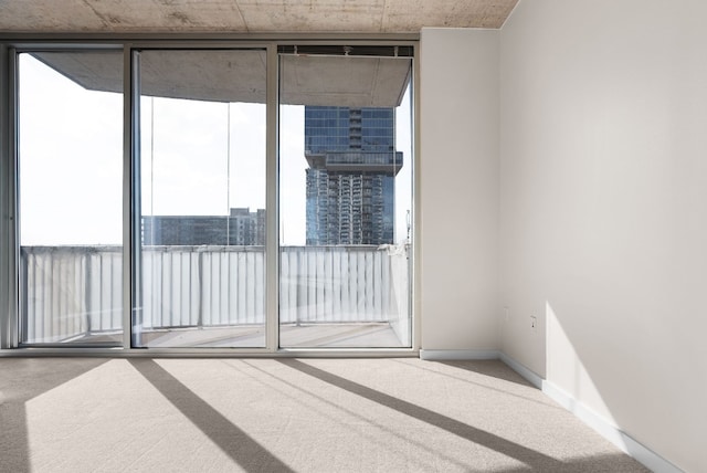 carpeted spare room featuring expansive windows