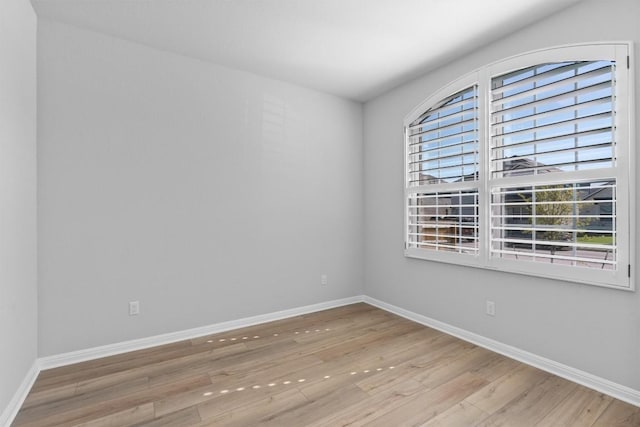 empty room featuring a wealth of natural light and light wood-type flooring