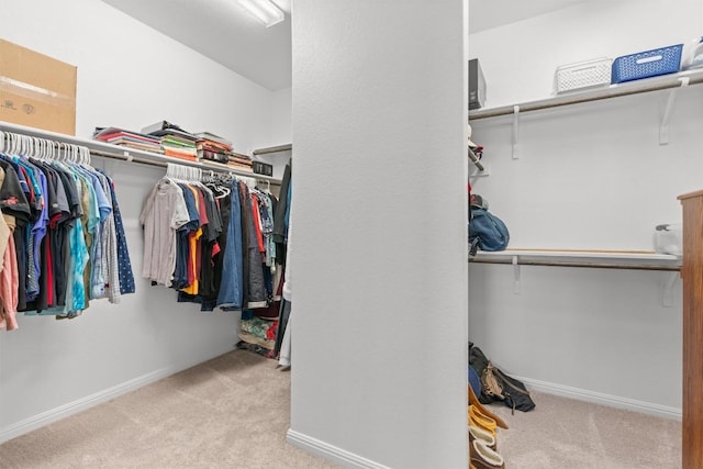 spacious closet featuring light colored carpet