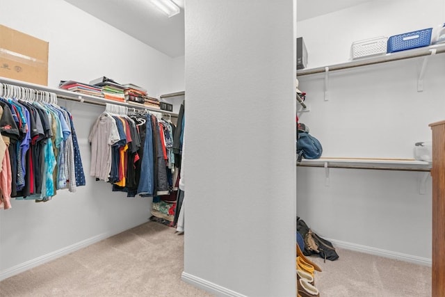 13104 Cerro Castellan Trce, Manor, TX 78653 - spacious closet featuring carpet flooring