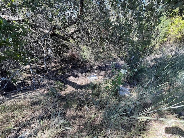 21619 High Dr, Lago Vista, TX 78645
