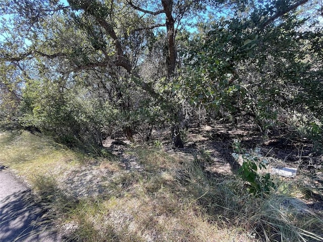 21619 High Dr, Lago Vista, TX 78645
