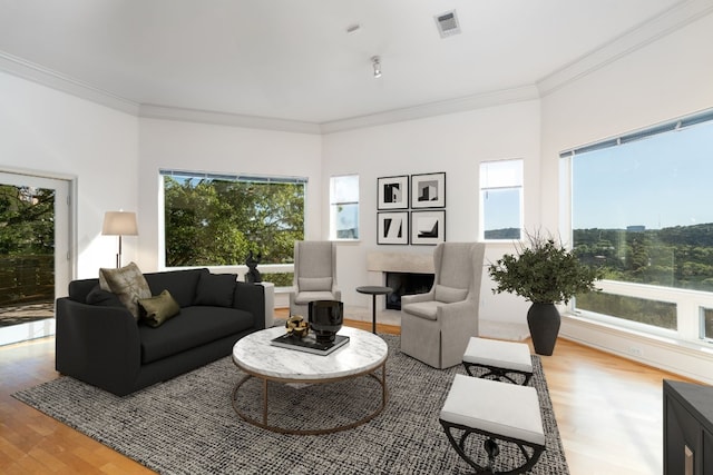 living room with a wealth of natural light, light wood-type flooring, visible vents, and crown molding