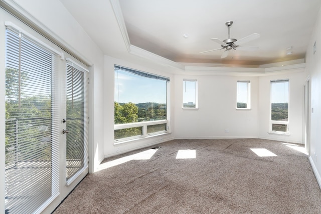 interior space featuring a healthy amount of sunlight, ceiling fan, a tray ceiling, and baseboards