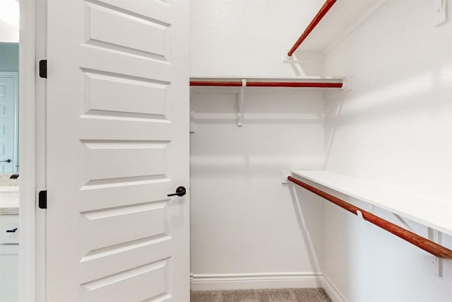 spacious closet featuring carpet flooring