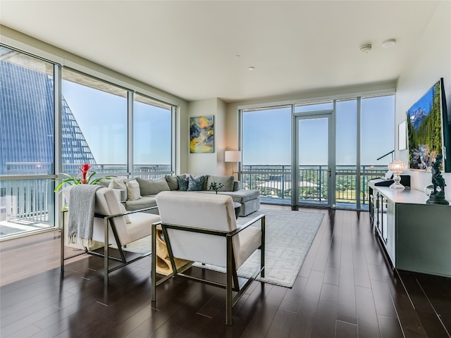 living room featuring floor to ceiling windows and dark wood-type flooring