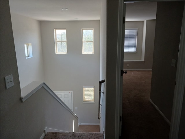 stairs with carpet floors