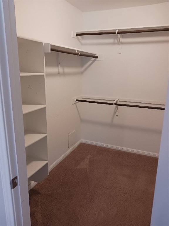 walk in closet with carpet flooring