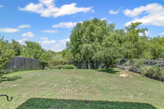 325 Eagle Brook Ln, Buda, TX 78610 - photo 4