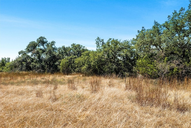 151 Crossroads Dr, Dripping Springs, TX 78620 - photo 3