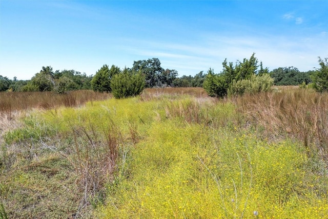 151 Crossroads Dr, Dripping Springs, TX 78620 - photo 6